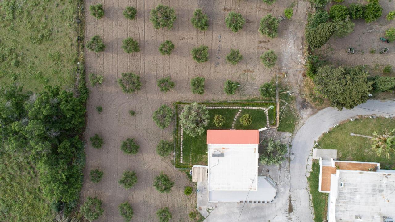 Elia Small Paradise Kos Exteriör bild