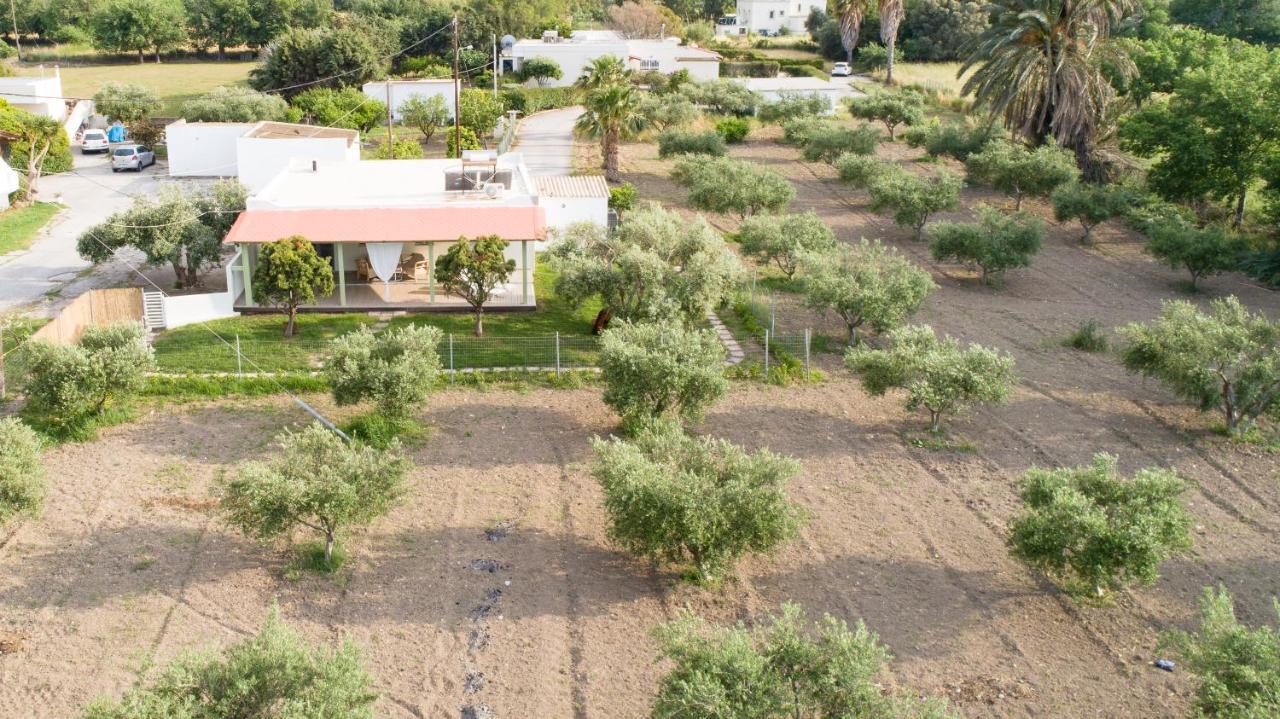 Elia Small Paradise Kos Exteriör bild